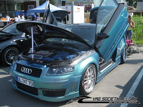 4548_9-Internationale-VW-Audi-Treffen-Ochsenhausen-17-08-2008-069.jpg