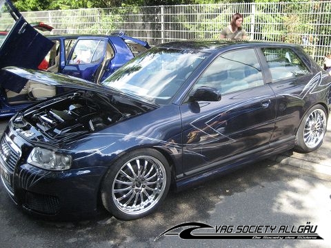 4602_9-int-vw-audi-treffen-benzingen-24-08-2008-038.jpg