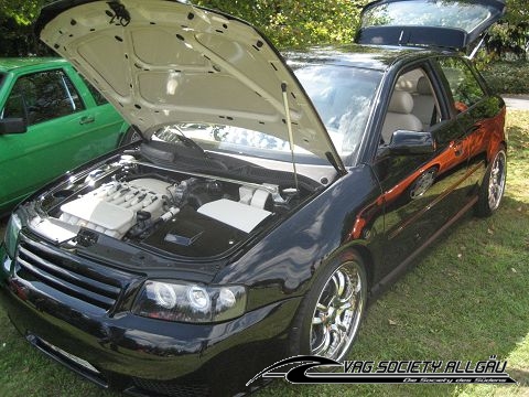 4604_9-int-vw-audi-treffen-benzingen-24-08-2008-040.jpg