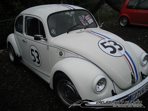 6205_1-vw-audi-treffen-schwaebische-alb-muensingen-06-06-2009-033.jpg