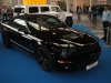 2939_tuningworld-bodensee-2008-018.JPG