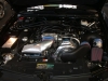 3182_tuningworld-bodensee-2008-257.JPG