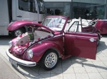 6511_7-int-vw-audi-treffen-augsburg-05-07-09-132.jpg