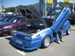 6901_10-VW-+-Audi-Treffen-Ochsenhausen-30-08-2009-034.JPG